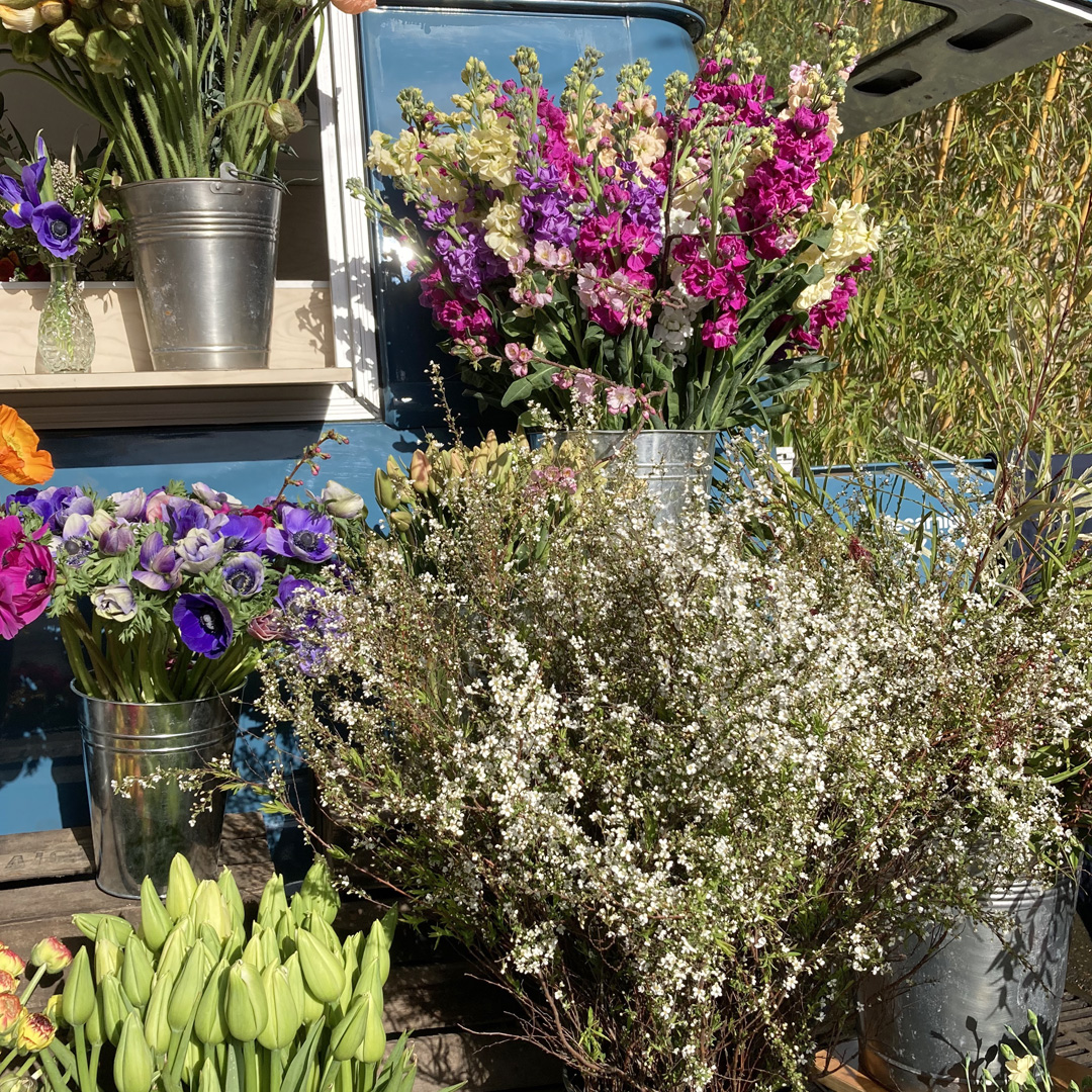 PAïSAN rencontre Virginie et Justine - Le Camion à Fleurs