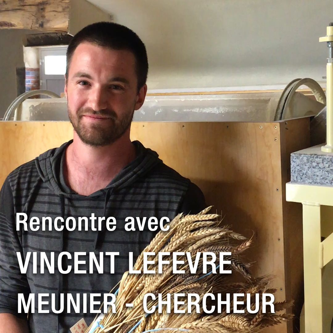 La farine de blé de Vincent Lefèvre