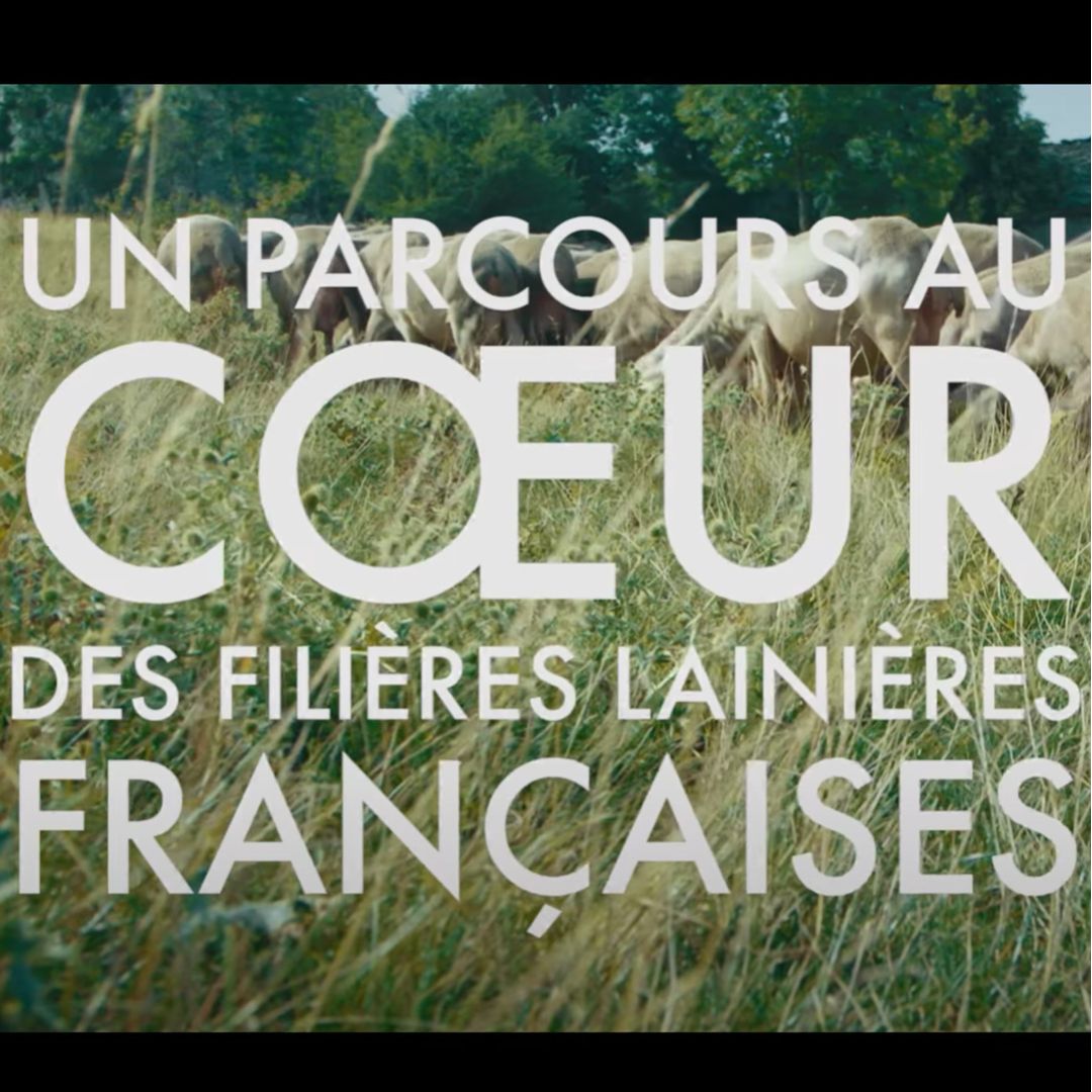 Tricolor, un parcours au cœur des filières lainières françaises