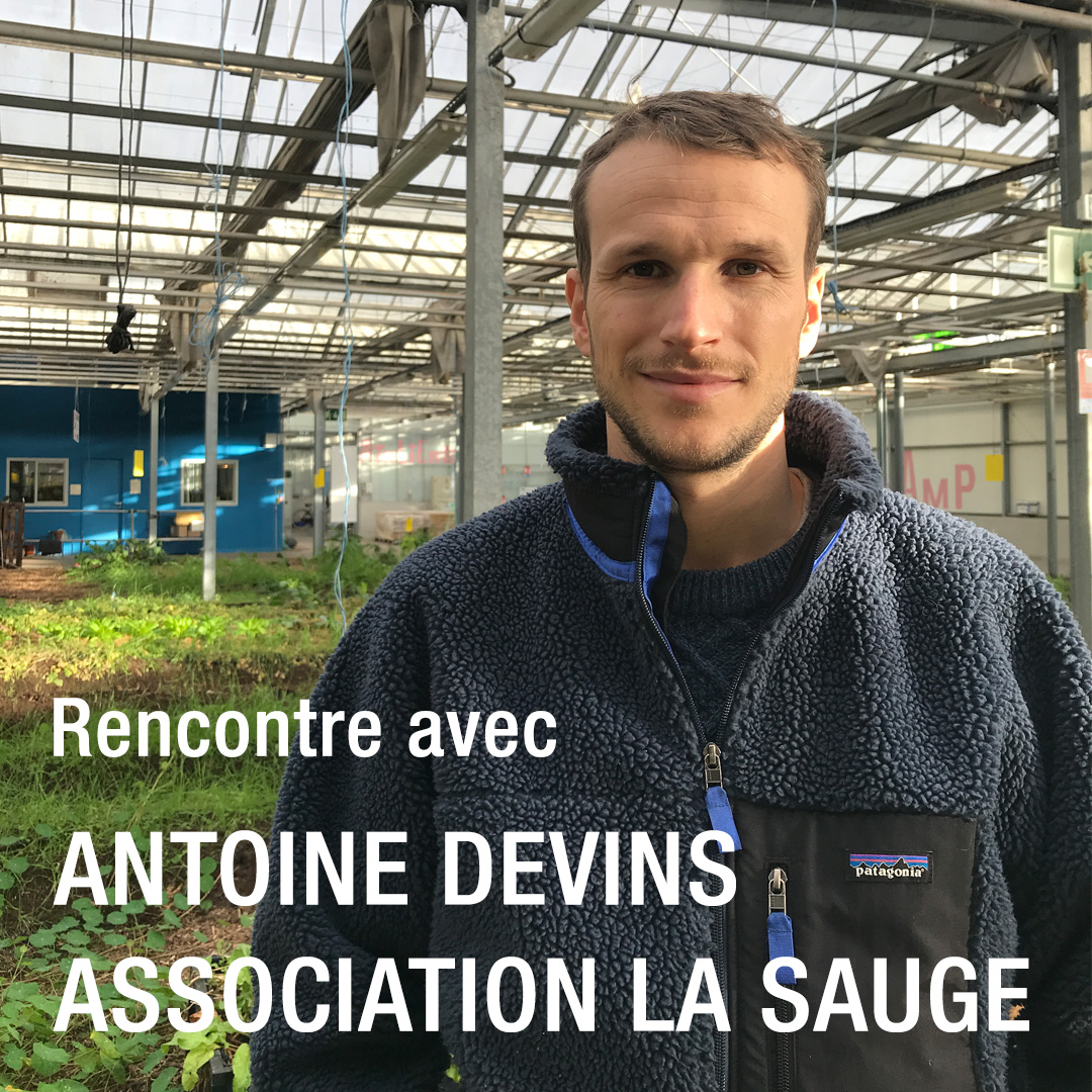 Rencontre avec le co-fondateur de La Sauge