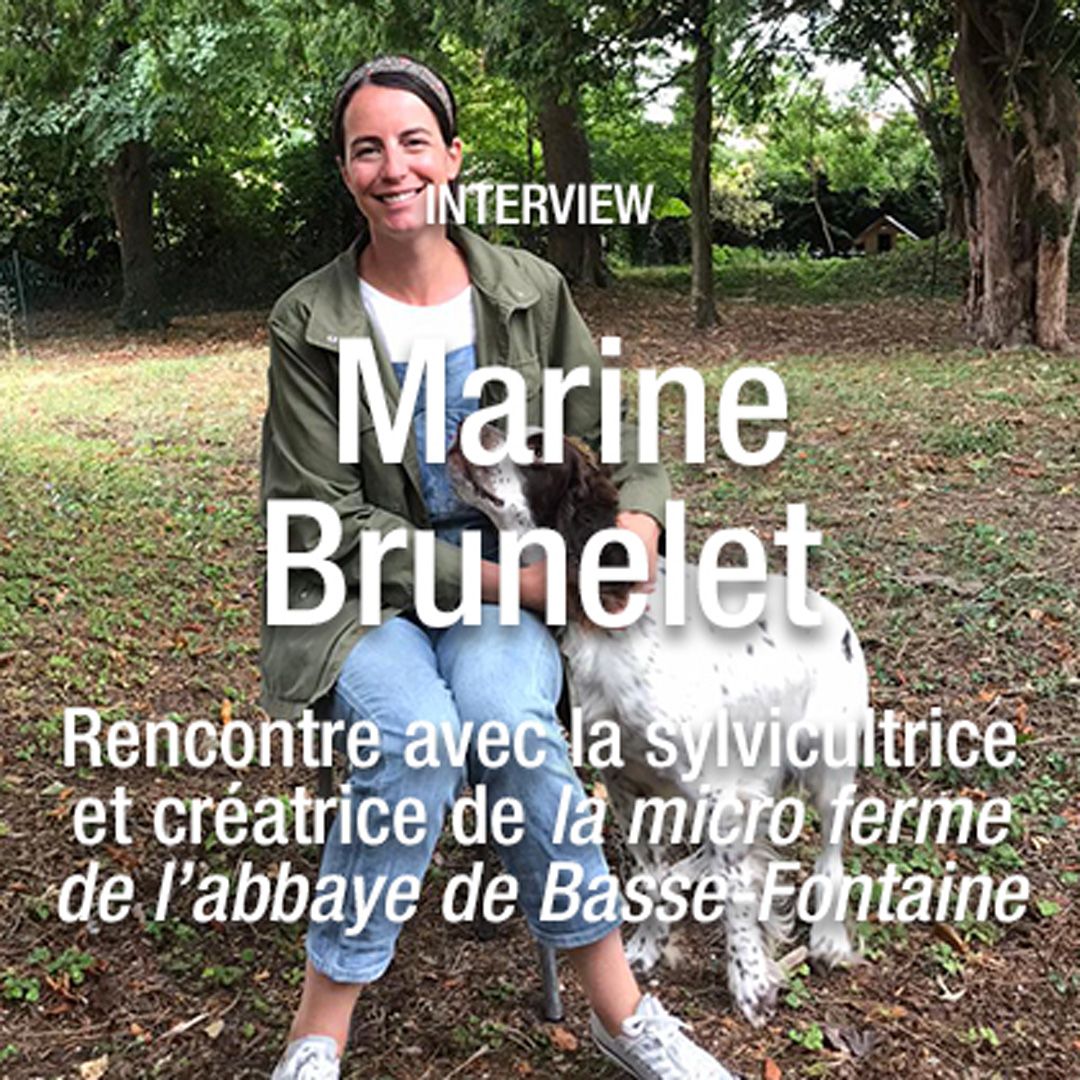 La gestion durable de la forêt avec Marine Brunelet