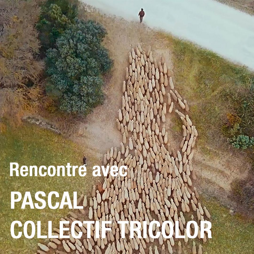 TRICOLOR, le Collectif de la Laine Française